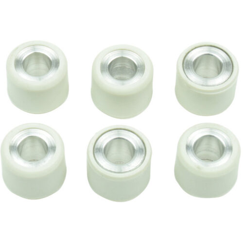 CLUTCH ROLLER KIT 6 ROLLER 16X13 10 GR
