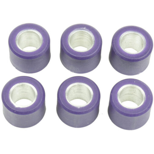 CLUTCH ROLLER KIT 6 ROLLER 16X13 4 GR