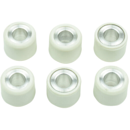 CLUTCH ROLLER KIT 6 ROLLER 16X13 6.5 GR