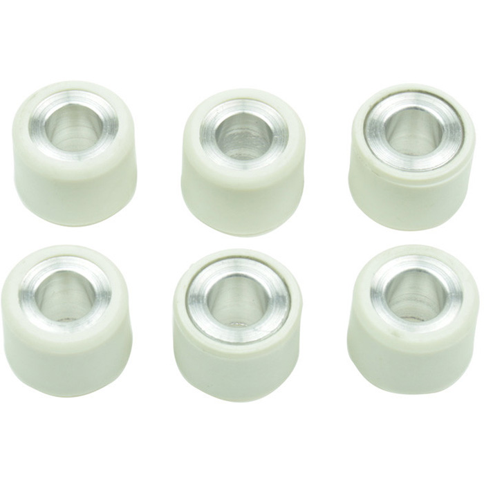 CLUTCH ROLLER KIT 6 ROLLER 16X13 6.5 GR