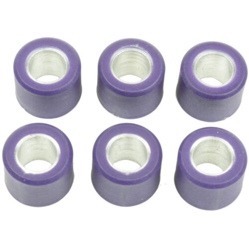 CLUTCH ROLLER KIT 6 ROLLER 16X13 7 GR