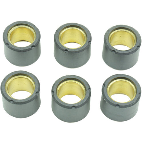 CLUTCH ROLLER KIT 6 ROLLER 19X15 4.6 GR