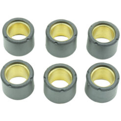CLUTCH ROLLER KIT 6 ROLLER 19X17 10.5 GR