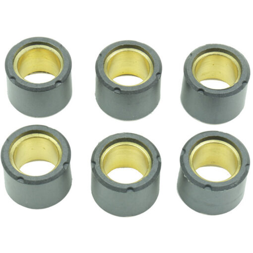 CLUTCH ROLLER KIT 6 ROLLER 19X17 10.5 GR