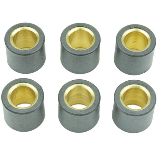 CLUTCH ROLLER KIT 6 ROLLER 19X17 15.5 GR
