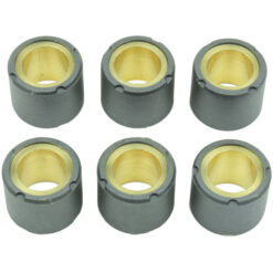 CLUTCH ROLLER KIT 6 ROLLER 20X17 15.5 GR