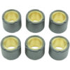 CLUTCH ROLLER KIT 6 ROLLER 20X17 9.5 GR