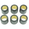 CLUTCH ROLLER KIT 6 ROLLER 25X22.2 22 GR