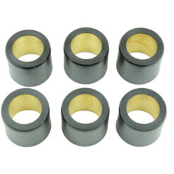 CLUTCH ROLLER KIT 6 ROLLER 25X22.2 24 GR