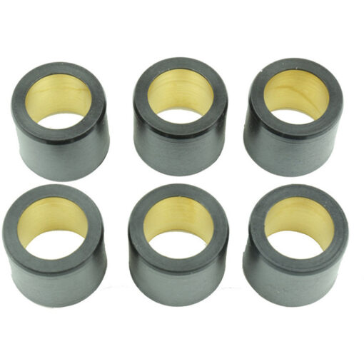 CLUTCH ROLLER KIT 6 ROLLER 25X22.2 24 GR