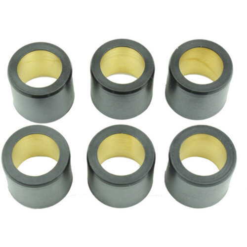 CLUTCH ROLLER KIT 6 ROLLER 25X22.2 26 GR