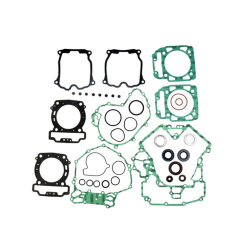 COMPLETE GASKET KIT W/OIL SEALS CAN