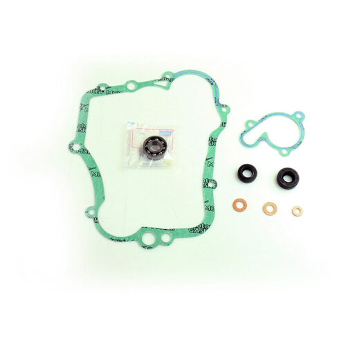 WATER PUMP REPAIR KIT W/BEARINGS  Yamaha YZ85 2002-2018