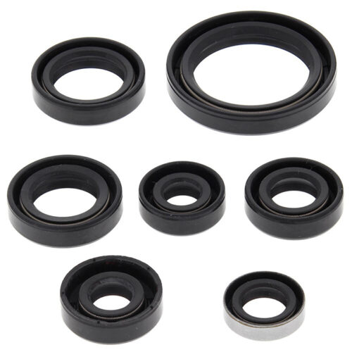 OIL SEAL SET