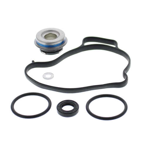 WATER PUMP REBUILD KIT