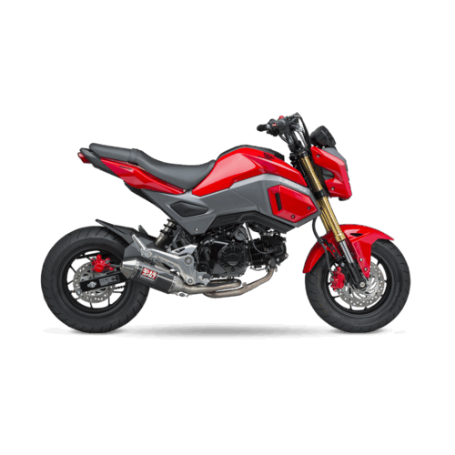 EXHAUST RACE RS-2 FULL-SYS SS-CF-SS WORKS Honda MSX125 Grom 2017-2020