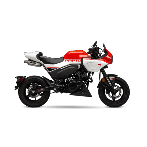 EXHAUST STREET RS-9 SO SS/AL/SS