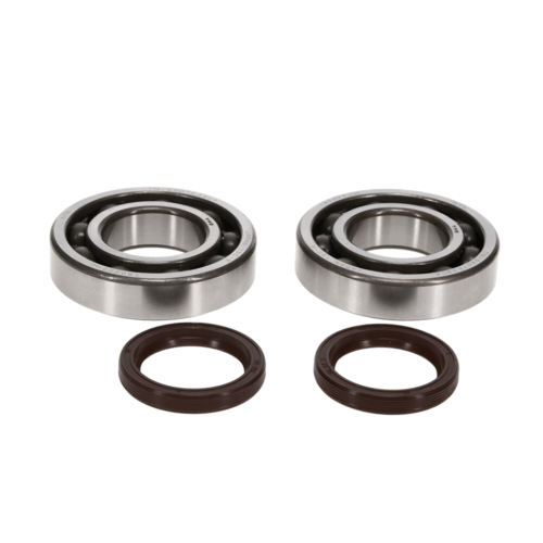 CRANKSHAFT BEARING & SEAL KIT KTM KTM 50 SX 2009-2012