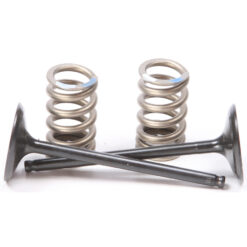 INTAKE VALVE CONVERSION SET TI-STEEL  Yamaha YZ250FX YZ250F WR250F 2014-2019