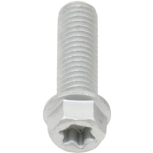 EURO TORX FLANGE BOLT 8X.1.25X25MM 10/PK
