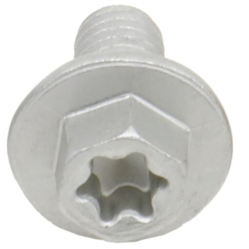 EURO TORX LARGE FLANGE BOLT 6X.1.0X12MM 10/PK