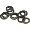 TRANS OUTPUT SEAL EVO/TWIN CAM 10/PK OE#12077