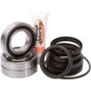 REAR WHEEL BEARING KIT Honda TRX250EX Sportrax TRX250TE Recon ES [SRA] TRX250TM Recon [SRA] TRX250X [SRA] 1997-2023
