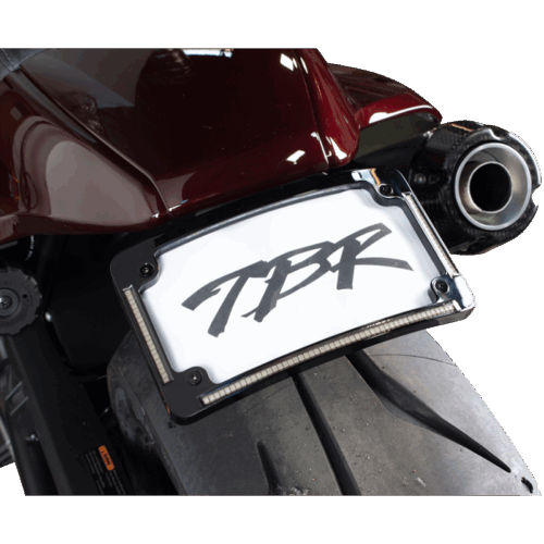 Two Brother Racing SPORTSTER S FENDER ELIMINATOR KIT W/ LP LIGHT