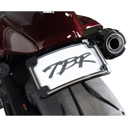 Two Brother Racing SPORTSTER S FENDER ELIMINATOR KIT W/ LP LIGHT