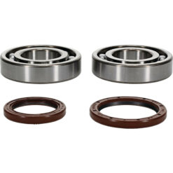 CRANKSHAFT BEARING/SEAL KIT Beta 390 RS 430 RS 500 RS 390 RR 430 RR 350 RR-S 390 RR-S 430 RR-S 500 RR-S 400 RR 498 RR 520 RR 450 RR 2011-2022