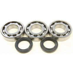 CRANKSHAFT BEARING/SEAL KIT Polaris Trail Boss 250 Trail Blazer 250 Xplorer 250 4X4 Trail Boss 250 2X4 1999-2006