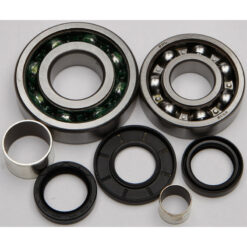 FRONT DIFFERENTIAL BEARING AND SEAL KIT Polaris Magnum 500 4X4 Xpedition 325 Xpedition 425 Magnum 325 4X4 1999-2002