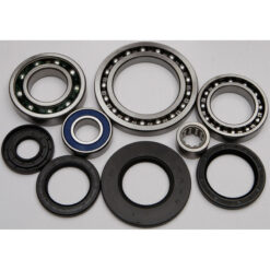 REAR DIFFERENTIAL BEARING AND SEAL KIT Arctic Cat Suzuki 454 2x4 454 4X4 500 4X4 Auto 400 4X4 400 2X4 LT-F500F QuadRunner 4X4 [SRA] LT-A500F QuadMaster [SRA] 1996-2001