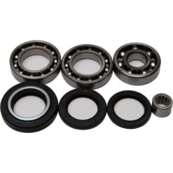 REAR DIFFERENTIAL BEARING AND SEAL KIT Honda ATC250ES Big Red ATC250SX TRX250 ATC250R 1985-1987