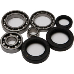 REAR DIFFERENTIAL BEARING AND SEAL KIT Honda TRX200 Fourtrax ATC200ES 1984