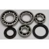 REAR DIFFERENTIAL BEARING AND SEAL KIT Kawasaki KLF185 Bayou [SRA] KLT185 KLT160 1985-1988