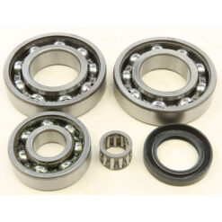 REAR DIFFERENTIAL BEARING AND SEAL KIT Kawasaki KLF250 Bayou [SRA] KLF220 Bayou [SRA] 1988-2011