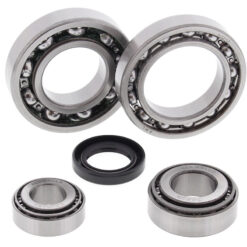 REAR DIFFERENTIAL BEARING AND SEAL KIT Kawasaki KLF300A Bayou 2X4 [SRA] 1986-1987
