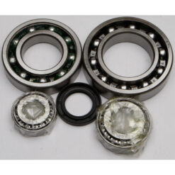 REAR DIFFERENTIAL BEARING AND SEAL KIT Kawasaki KLF300B Bayou 2X4 [SRA] 1988-2005