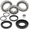 REAR DIFFERENTIAL BEARING AND SEAL KIT Kawasaki KVF300 Brute Force [SRA] 2012-2022