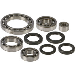 REAR DIFFERENTIAL BEARING AND SEAL KIT Suzuki LT-A500F QuadMaster [SRA] LT-F500F QuadRunner 4X4 [SRA] 2001-2002