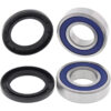 REAR WHEEL BEARING KIT