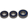 REAR WHEEL BEARING/SEAL KIT KTM Kawasaki Husqvarna Gas Gas Gas-Gas 65 SXS KX250 KX125 KDX 250 65 SX 65 XC TC 65 Mc 65 KX500 MC 65 1978-2022