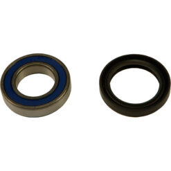 WHEEL BEARING & SEAL KIT
