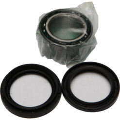 WHEEL BEARING & SEAL KIT Honda TRX680FA Rincon [IRS] TRX650FA Rincon [IRS] 2003-2023