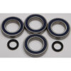WHEEL BEARING & SEAL KIT Kawasaki KLT200A KLT200C KLT250C 1983-1985