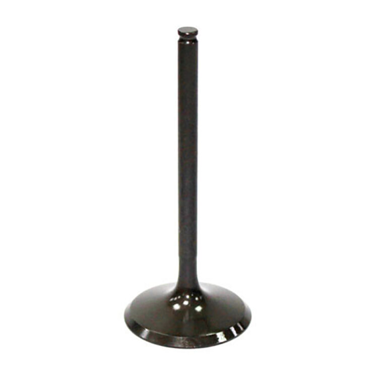 EXHAUST VALVE Honda TRX200 Fourtrax ATC200X ATC200S ATC200M ATC200ES ATC185S ATC200 ATC200E ATC185 1980-1986