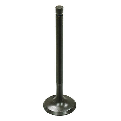 EXHAUST VALVE Yamaha YFM250R Raptor YFM250B Big Bear [SRA] YFM250RSE Raptor SE YFM250RSE2 Raptor SE Custom YFM250B Bruin 2WD [SRA] YFM250X Bear Tracker 2WD [SRA] YFB250FW Timberwolf 4WD [SRA] YFB250 Timberwolf 2WD [SRA] YFM250 Moto-4 YFM200DX Moto-4 Yfu1W Pro Hauler YFM225 Moto-4 YTM225D Tri-Moto YTM200E Tri-Moto 1983-2013
