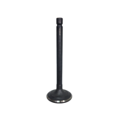 INTAKE VALVE Yamaha YFM80G Grizzly YFM80R Raptor YFM80 Badger YFM100 Champ 1985-2008