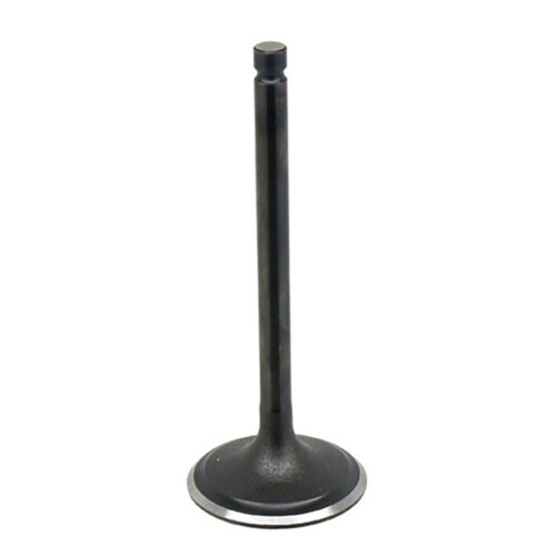 INTAKE VALVE Yamaha YFM350X Wolverine 2WD [SRA] YFM350FG Grizzly 4WD [SRA] YFM350G Grizzly 2WD [SRA] YFM350BA Bruin 2WD [SRA] YFM350FA Bruin 4WD [SRA] YFM400FB Big Bear 4WD [SRA] YFM400FA Kodiak 4WD [SRA] YFM350FX Wolverine 4WD [SRA] YFM350FGI Grizzly 4WD [IRS] YFM350X Warrior YFM400 Big Bear 2WD [SRA] YFM400A Kodiak 2WD [SRA] YFM350R Raptor YFM400FBI Big Bear 4WD [IRS] 1987-2012